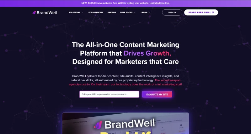 Content At Scale - AI Tool Preview