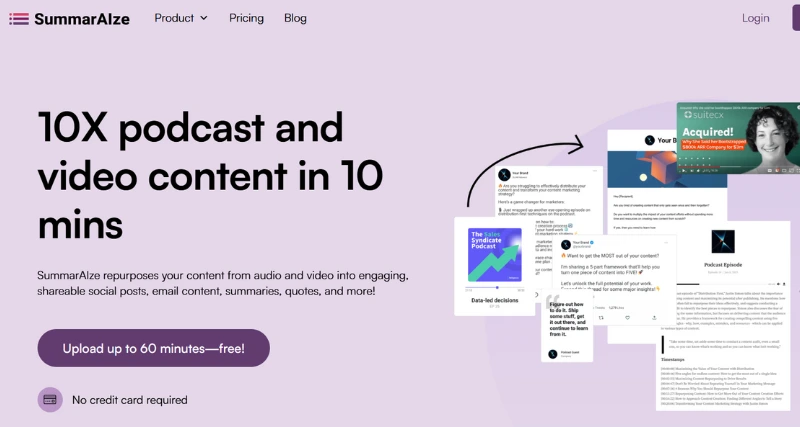 SummarAIze - AI Tool Preview