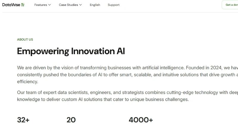 DataWise - AI Tool Preview