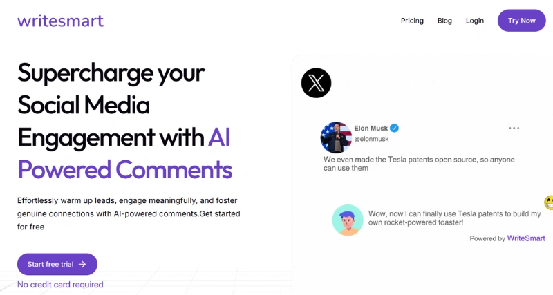 WriteSmart - AI Tool Preview