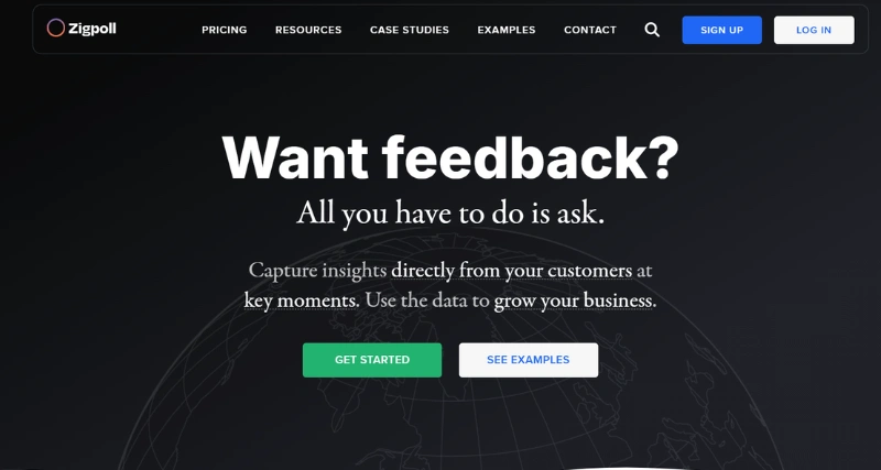 Zigpoll - AI Tool Preview