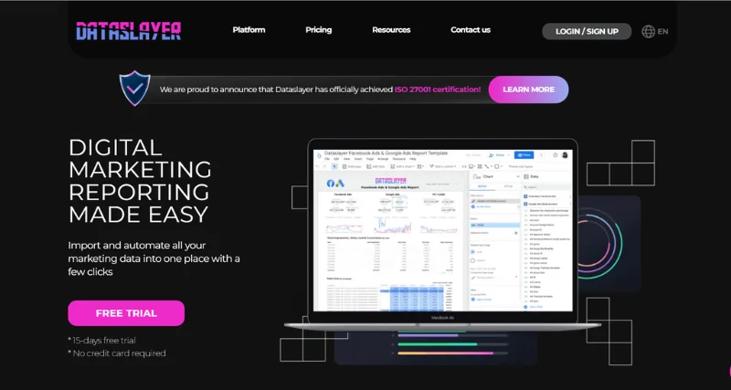Dataslayer AI - AI Tool Preview