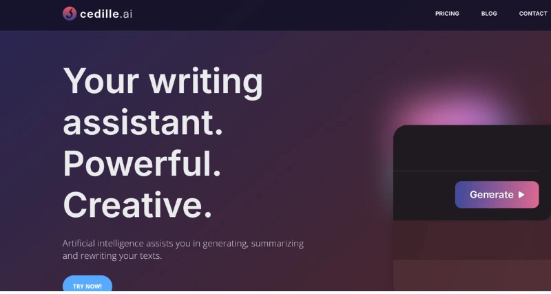 Cedille.ai - AI Tool Preview