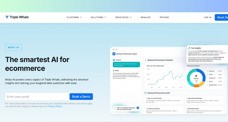 triplewhale - AI Tool Preview