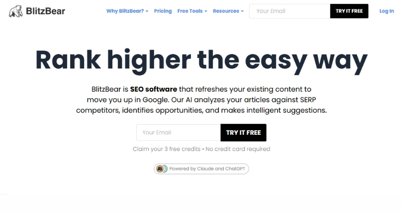 BlitzBear - AI Tool Preview