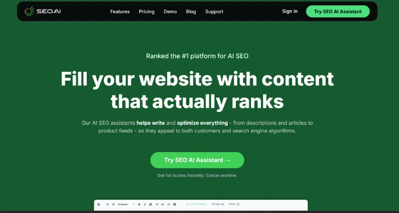 Seo.ai - AI Tool Preview
