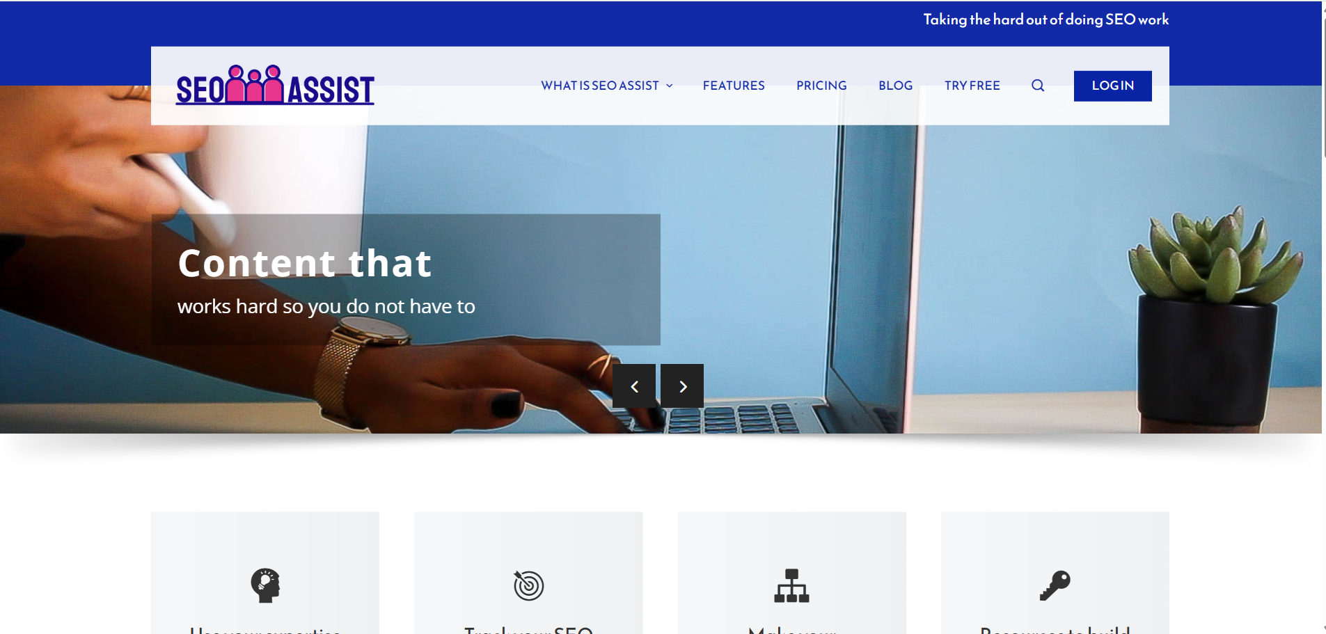 SEO Assist - AI Tool Preview