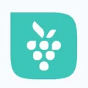 Berrycast icon